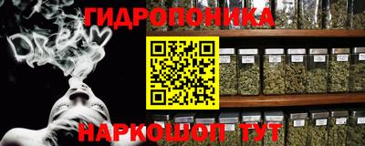 шишки Пыть-Ях