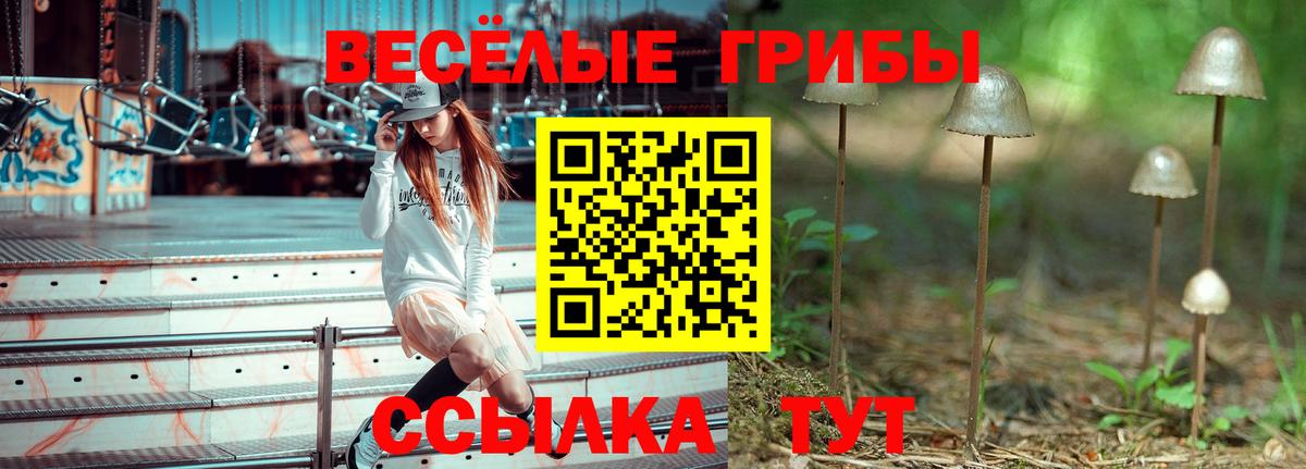 Галлюциногенные грибы прущие грибы Рязань