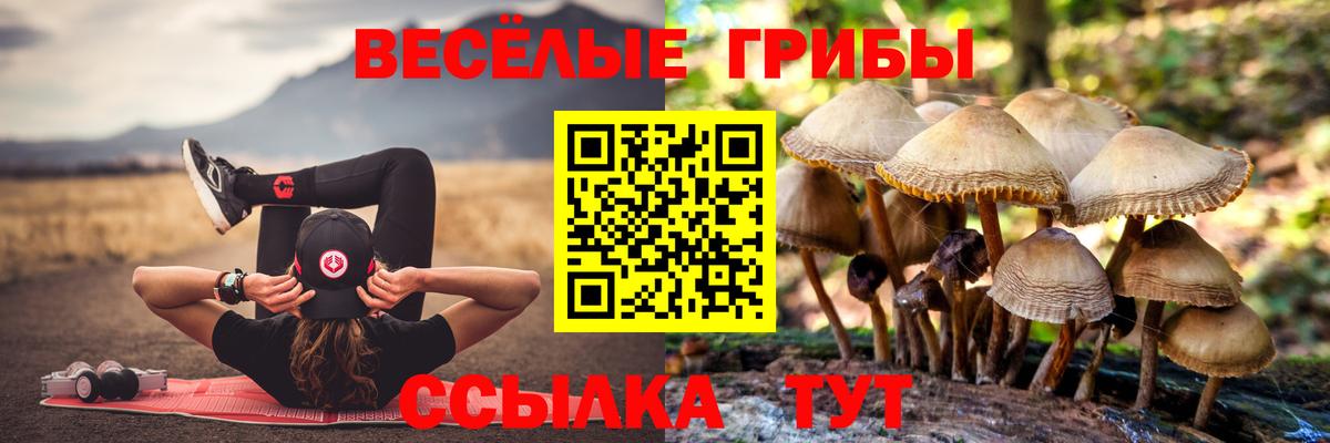 Рязань  Псилоцибиновые грибы прущие грибы  Псилоцибиновые грибы MAGIC MUSHROOMS  Вход с VPN 